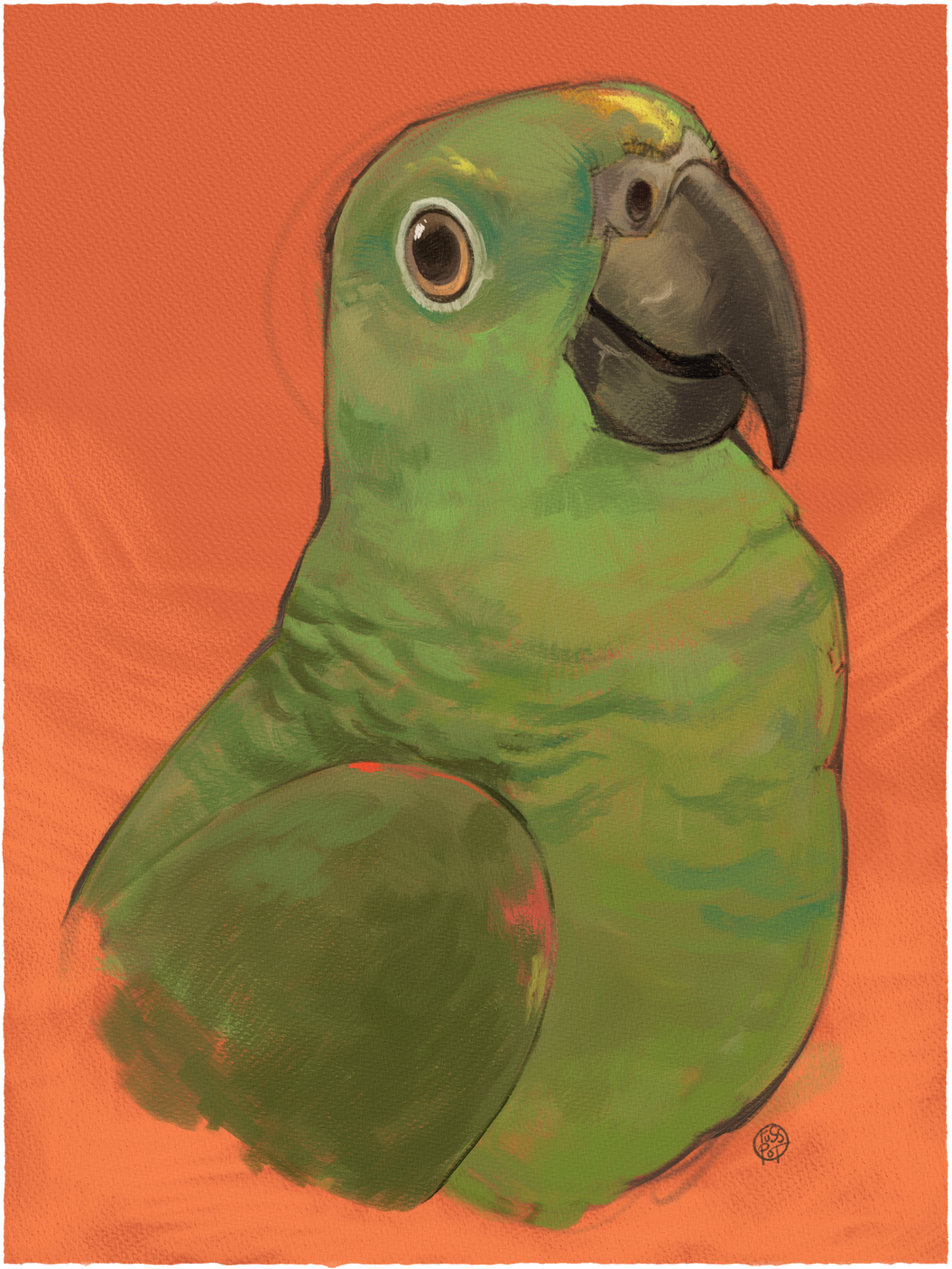 Pepper A painting of a yellow-naped amazon on an orange backdrop.